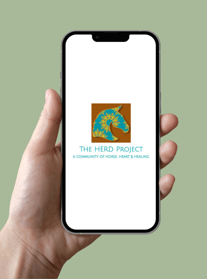The HERD Project logo, a patterned horse head, on a phone screen